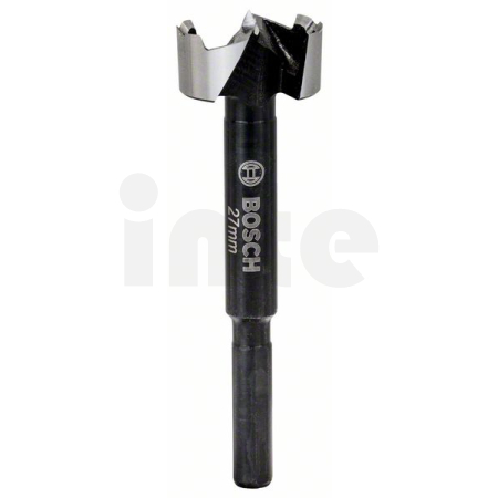 BOSCH Forstnerův vrták 27 mm 2608577011