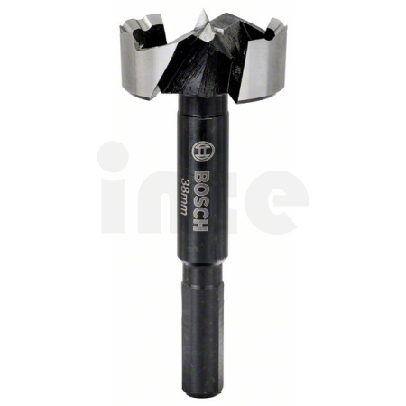 BOSCH Forstnerův vrták 38 mm 2608577018