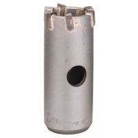BOSCH Dutá vrtací korunka SDS plus-9 30 mm 2608550613