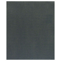 BOSCH Brusný papír C355 2608608H67