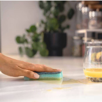 Vileda Pro Clean houbička 2+1ks 179248