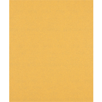 BOSCH Brusný papír EXPERT C470 pro ruční broušení 230 × 280 mm, G 100 2608900960