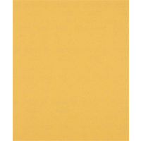 BOSCH Brusný papír EXPERT C470 pro ruční broušení 230 × 280 mm, P120 2608900961