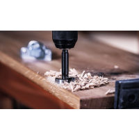 BOSCH Sada vrtáků EXPERT Wood Forstner, 50 mm 2608901842