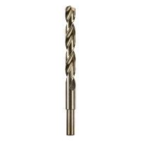 RYOBI AAKHSSG AEG HSS-G vrták do kovu 12mm – 1ks 4932479319