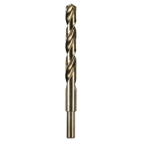 RYOBI AAKHSSG AEG HSS-G vrták do kovu 13mm – 1ks 4932479320