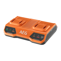 RYOBI BL18C2 18V Paralelní nabíječka se dvěma porty 4935480052
