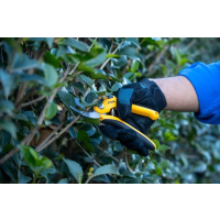 STIGA Nůžky na větvě 2H1030001/ST1