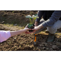 STIGA Přesazovací lopatka 2H1410001/ST1