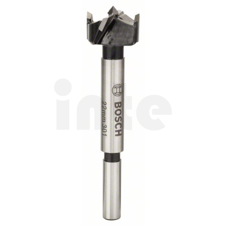 BOSCH Sukovník s tvrdokovem a předřezovými hroty  2608597605