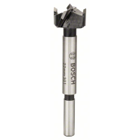 BOSCH Sukovník s tvrdokovem a předřezovými hroty  2608597605