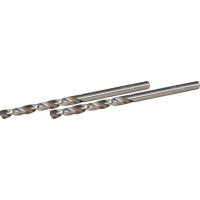 Makita - vrták do kovu HSS-GS 2ks 3x61  mm D-77724