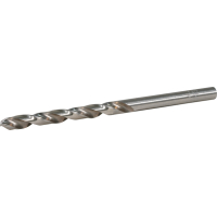 Makita - vrták do kovu HSS-GS 1ks 4.5x80  mm D-77780