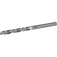 Makita - vrták do kovu HSS-GS 1ks 5.5x93  mm D-77805
