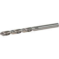 Makita - vrták do kovu HSS-GS 1ks 6.5x101  mm D-77827