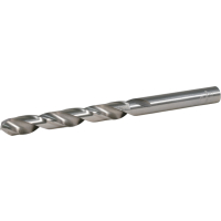 Makita - vrták do kovu HSS-GS 1ks 9x125  mm D-77877