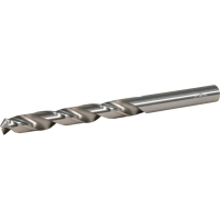 Makita - vrták do kovu HSS-GS 1ks 9.5x125  mm D-77883