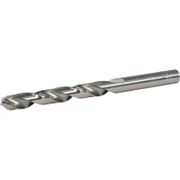 Makita - vrták do kovu HSS-GS 1ks 10x133  mm D-77899