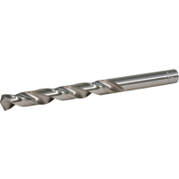 Makita - vrták do kovu HSS-GS 1ks 11x142  mm D-77914