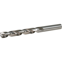 Makita - vrták do kovu HSS-GS 1ks 12.5x151  mm D-77942