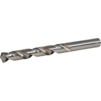 Makita - vrták do kovu HSS-GS 1ks 13x151  mm D-77958